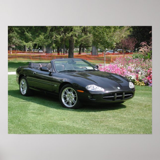 Poster Convertible Jaguar XK8 (Devant)