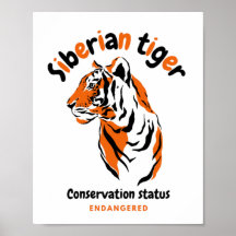 Cool de tigre grande chatte sensibilisation aux es