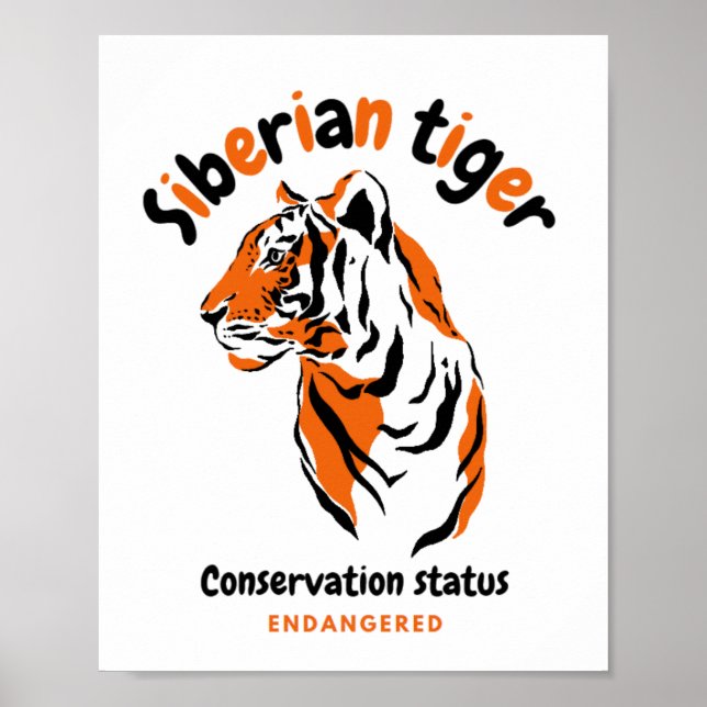 Poster Cool de tigre grande chatte sensibilisation aux es (Devant)