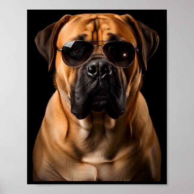 Poster Cool Dog Sungles Bullmastiff Funny Look  (Devant)