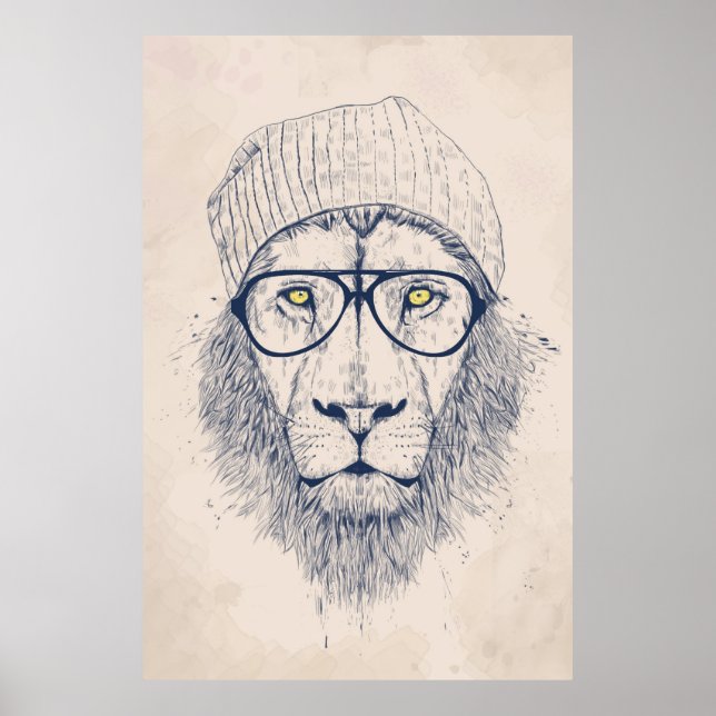 Poster Cool lion (Devant)