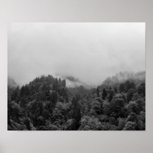 Poster Cool, nature brumeuse magique