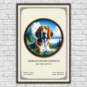 Poster Coonhound américain Série de zoologie