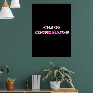 POSTER COORDONNATEUR CHAOS