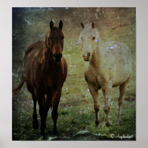 Poster Copains de cheval Grunge