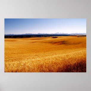 Poster Copie ambre de vagues