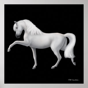 Poster Copie andalouse blanche de cheval