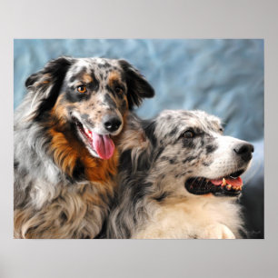 Poster Copie australienne de beaux-arts de portrait de