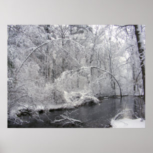 Poster Copie collante de ~ de la neige 27