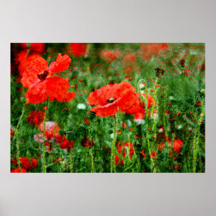 Poster Copie d'affiche de champ de pavot