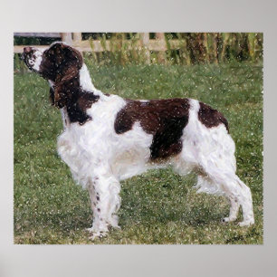 Poster Copie d'affiche de portrait de chien d'épagneul d