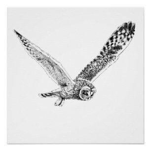 Poster Copie d'affiche d'illustration de hibou de vol