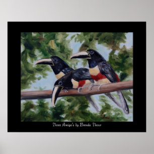 Poster Copie d'affiche du toucan de trois Amigo