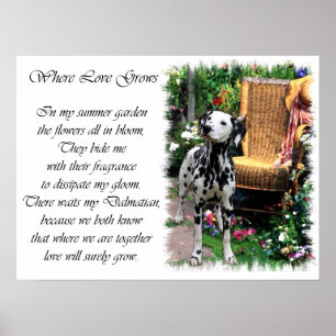 Poster Copie dalmatienne d'art