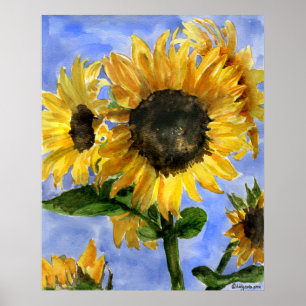 Poster Copie d'art de peintures d'aquarelle du tournesol