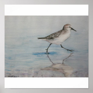 Poster Copie d'art d'oiseau de joueur de pipeau de sable