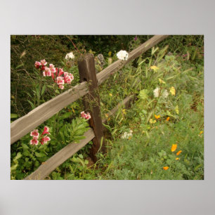 Poster Copie de barrière de jardin