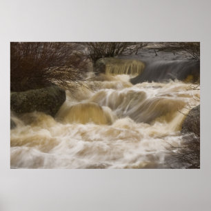 Poster Copie de beaux-arts de ruisseau de fanion