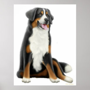 Poster Copie de chien de montagne de Bernese