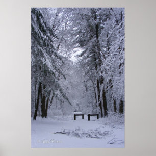 Poster Copie de ~ de cathédrale de glace