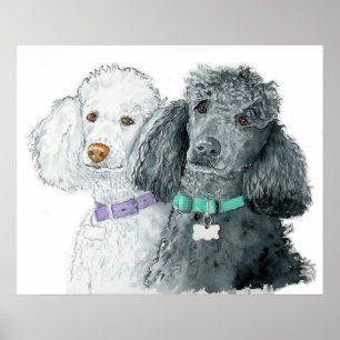 Poster Copie de deux caniches