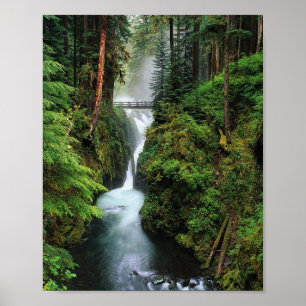 Poster Copie de forêt