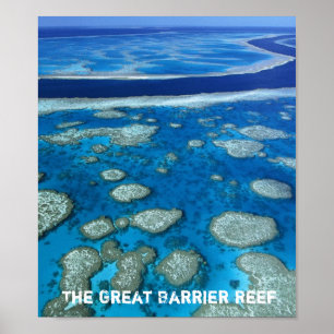 Poster Copie de la Grande barrière de corail