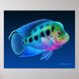 Poster Copie de poissons de Cichlid de Flowerhorn