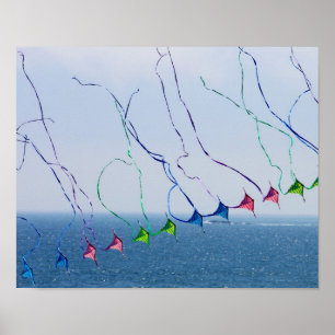 Poster Copie de queues de cerf-volant
