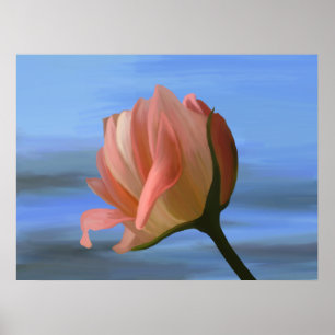 Poster Copie de rose de pêche