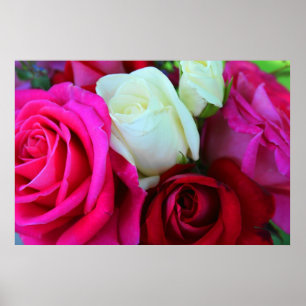 Poster Copie de roses