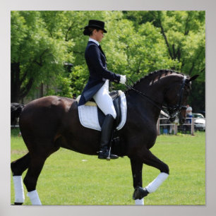 Poster Copie de toile de cavalier de cheval de dressage