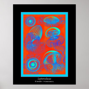Poster Copie d'Ernst Haeckel de ~ de Leptomedusae