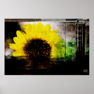 Poster Copie d'image de tournesol