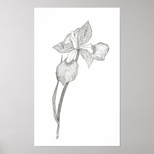 Poster Copie d'iris
