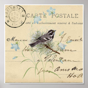 Poster Copie française d'art de carte postale de fleur