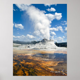 Poster Copie - geyser de château, parc national de