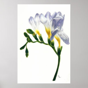 Poster Copie mauve de freesias