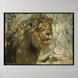 Poster Copie - roi de la jungle