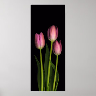 Poster Copie rose de trio de tulipe