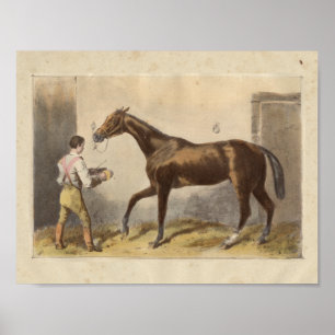 Poster Copie vintage de cheval Thormanby 1873