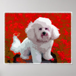Poster Copies d'art de bruit de Bichon Frise