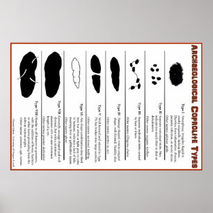 Poster Coprolite archéologique dactylographie l'affiche