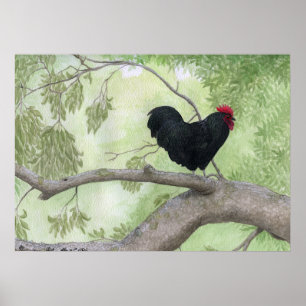 Poster Coq Cogburn