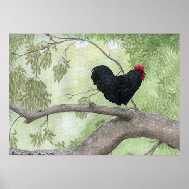 Poster Coq Cogburn (Devant)