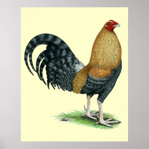 Poster Coq de combat : Dom ou Crele