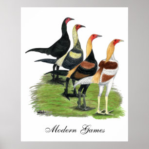 Poster Coq de jeu moderne
