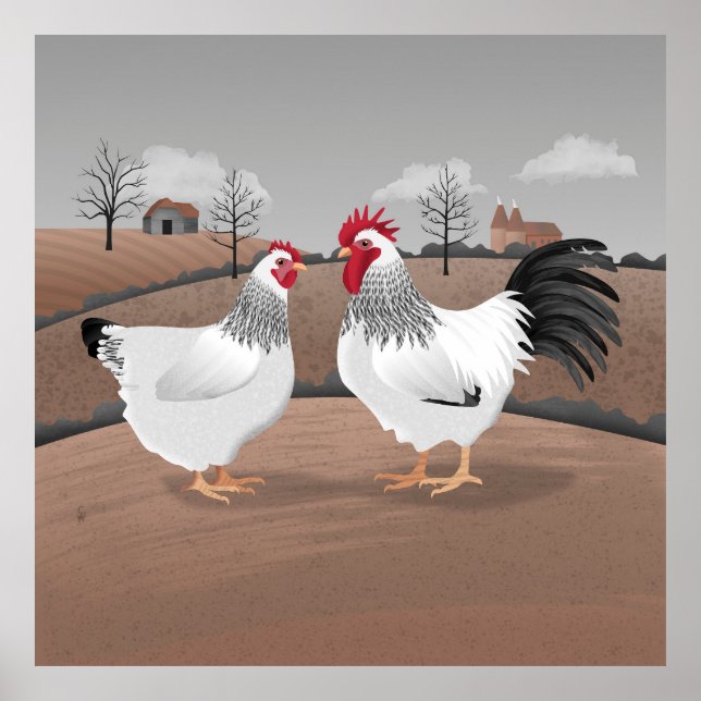 Poster Coq et Poule (Devant)