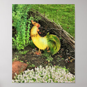 Poster Coq jaune et vert