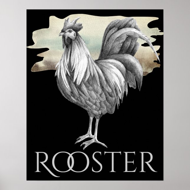 Poster Coq noir et blanc Ferme de poulet spectaculaire (Devant)